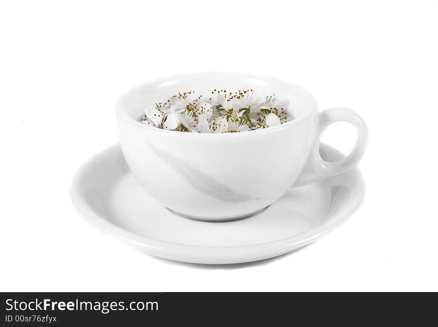 Apple flower on coffee cop on white background. Apple flower on coffee cop on white background