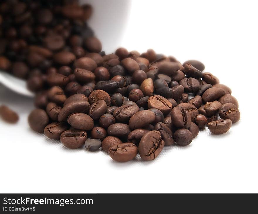 Coffee beans in a white cup