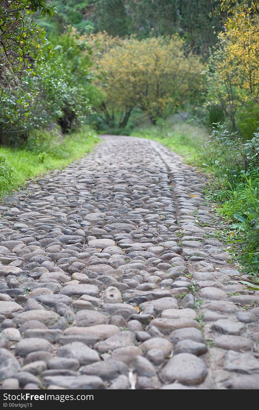 Old stones road through lush forest