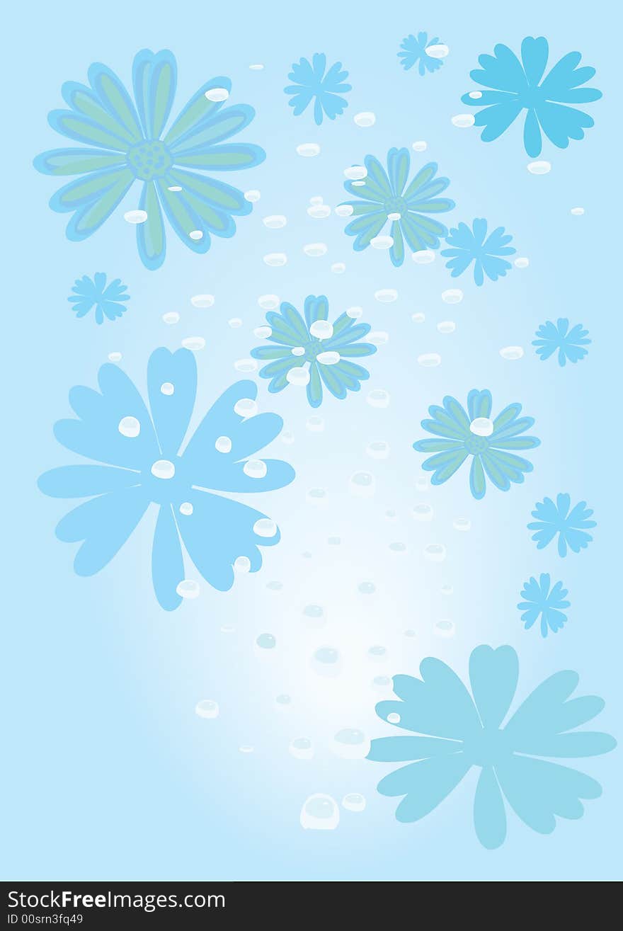 Flowers and blister blue background