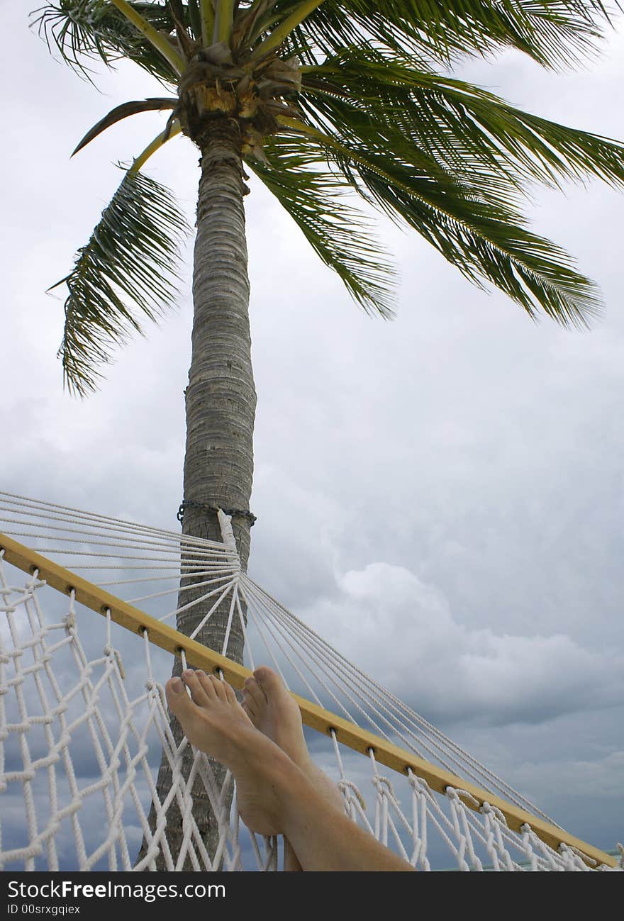 Feet In Hammock