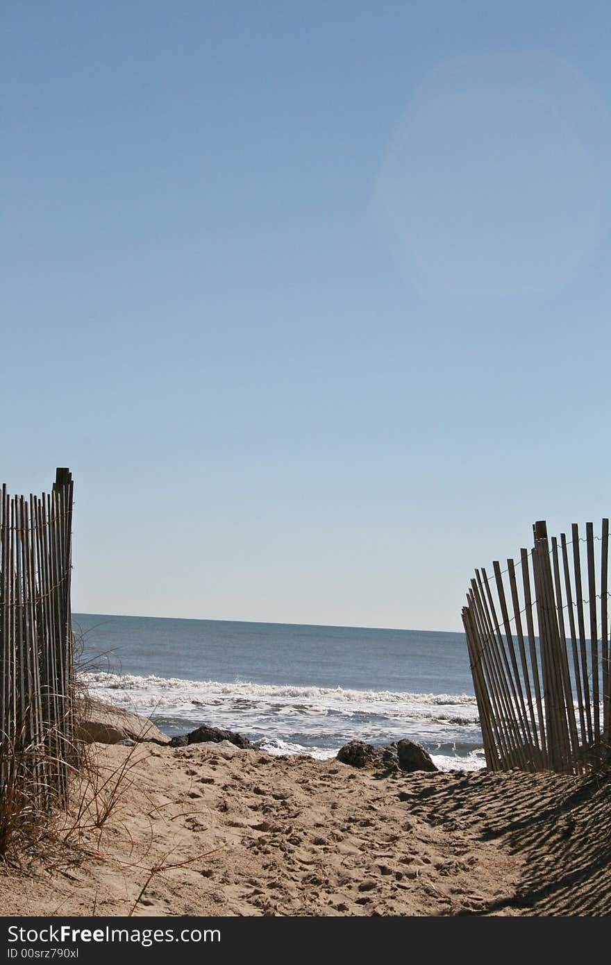 Beach Path On Sunny day