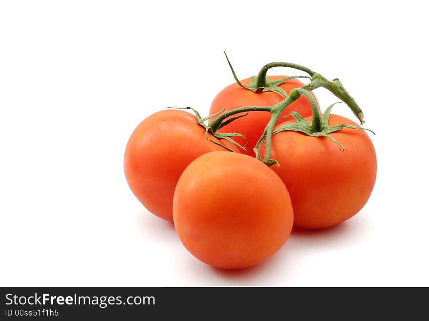 Tomatoes on vine isolated -- wide