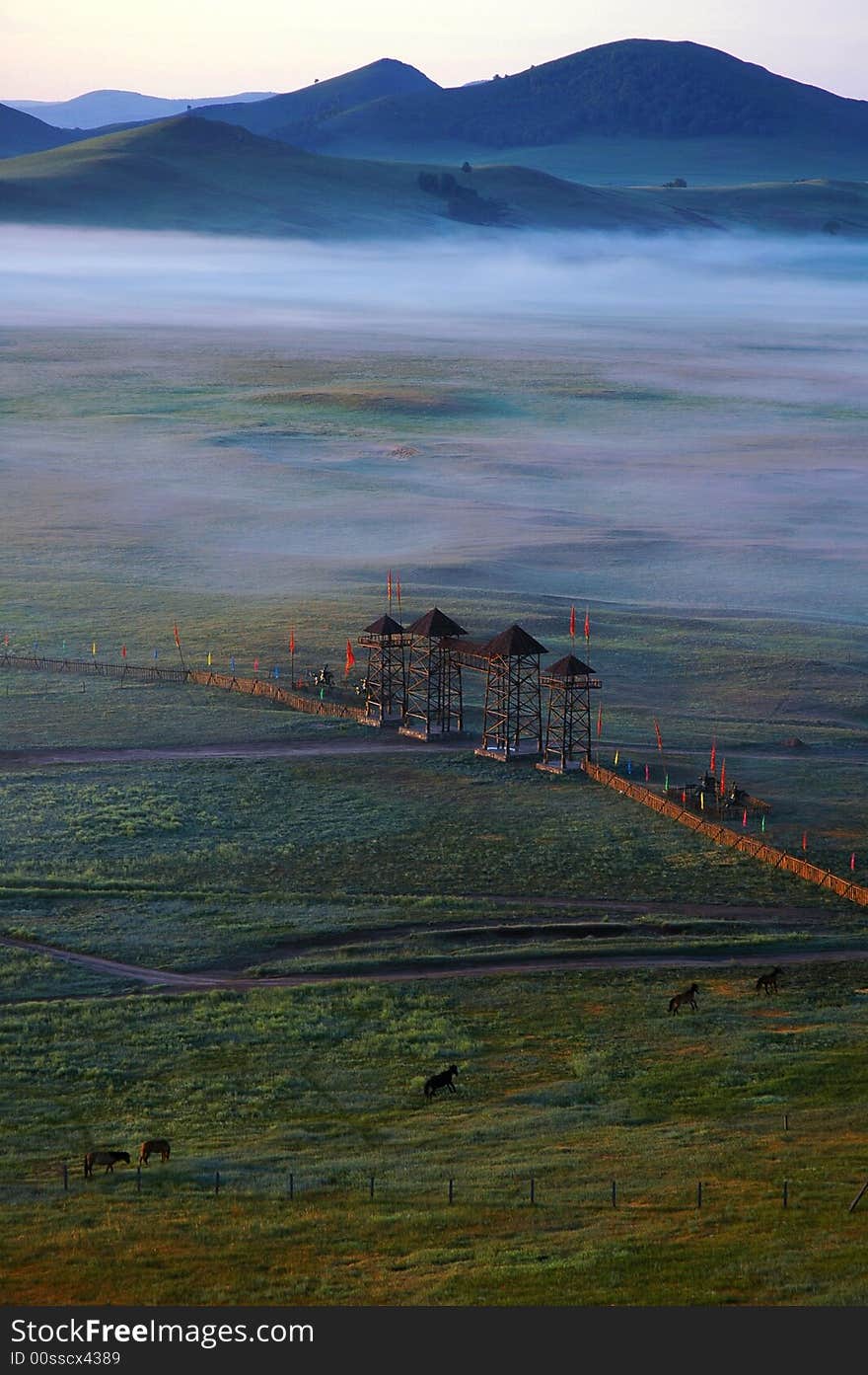 The fog uprising on the grassland,the horse eating grass quietly before sunrise. The fog uprising on the grassland,the horse eating grass quietly before sunrise