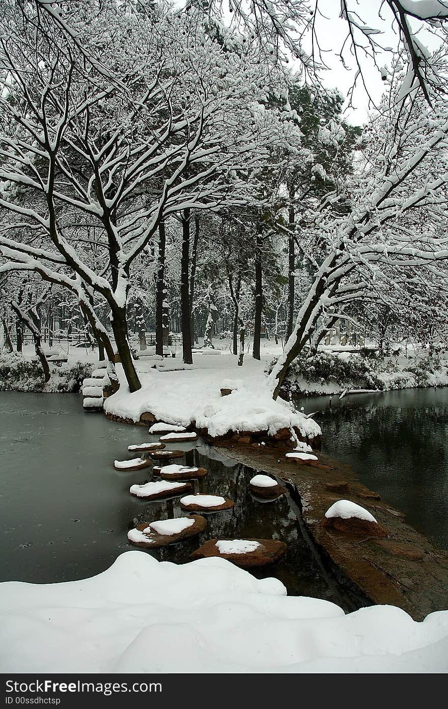 The firn, pond, stones and trees are all in white. The firn, pond, stones and trees are all in white