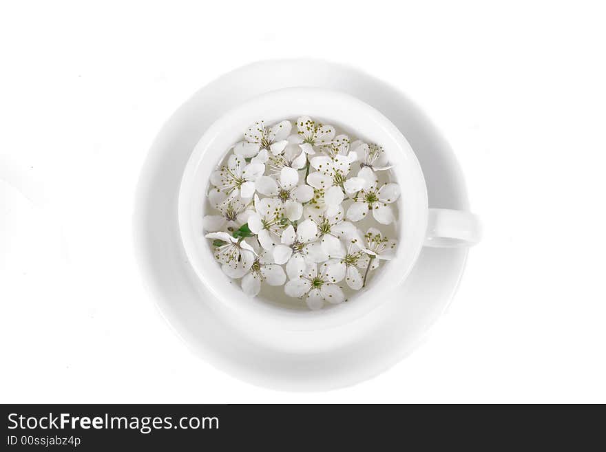 Apple flower on coffee cop on white background. Apple flower on coffee cop on white background