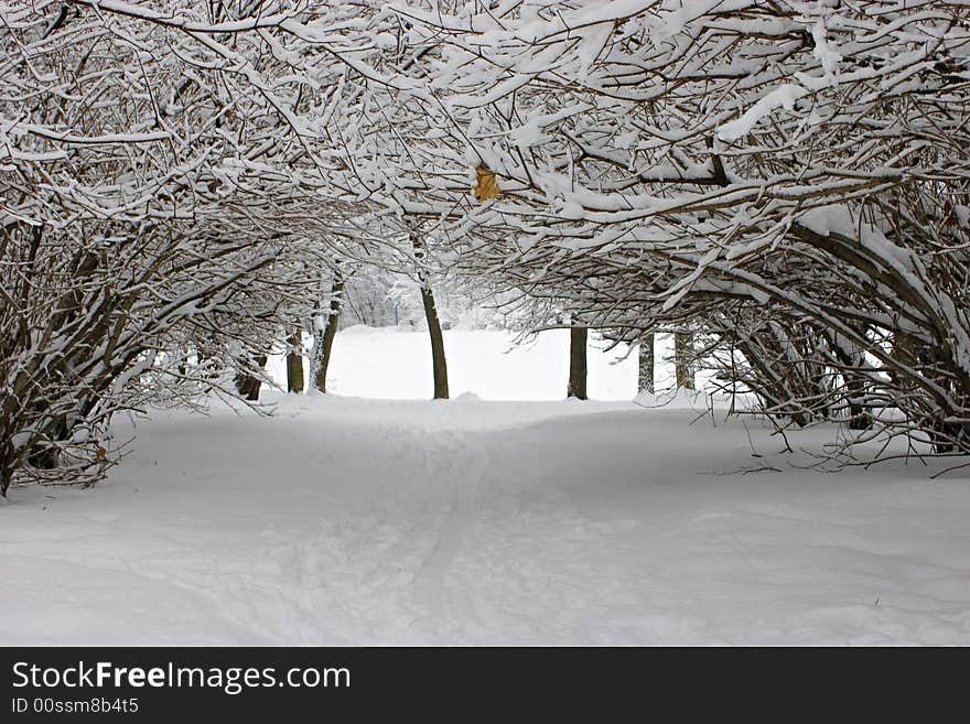 After snowstorm.