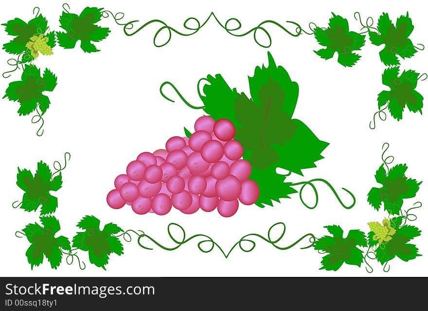 Illustration. Beauty Red Grapes. Decoration  ornate