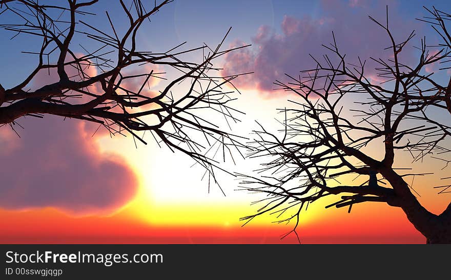 Tree silhouettes  at sunset - 3d scene. Tree silhouettes  at sunset - 3d scene.