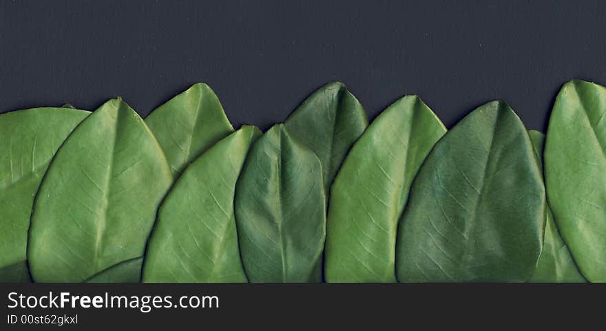 A background border made by non natural green leaves made of an unknown material. A background border made by non natural green leaves made of an unknown material