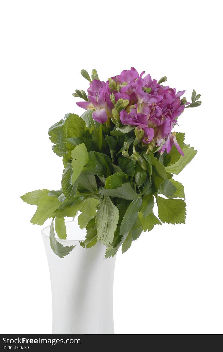 Different color  spring flower in vase. Different color  spring flower in vase