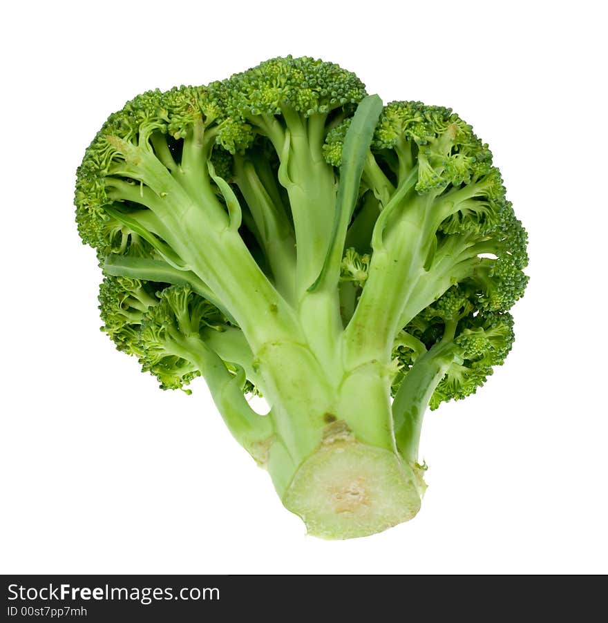 Fresh broccoli isolated on a white background