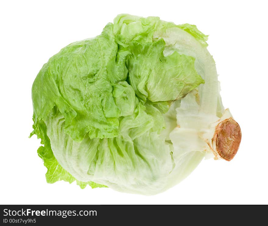 Fresh lettuce isolated on a white background