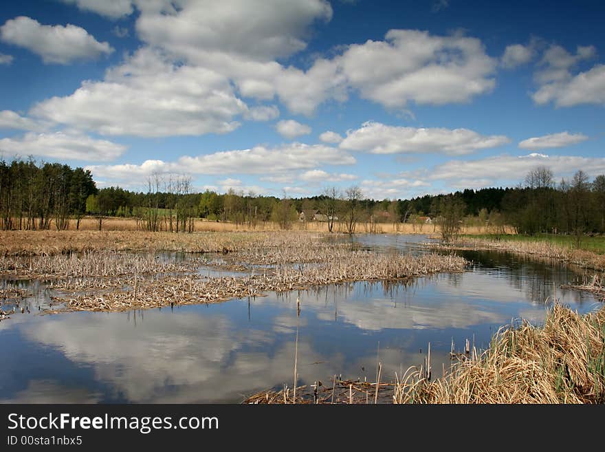 Beautiful river edge