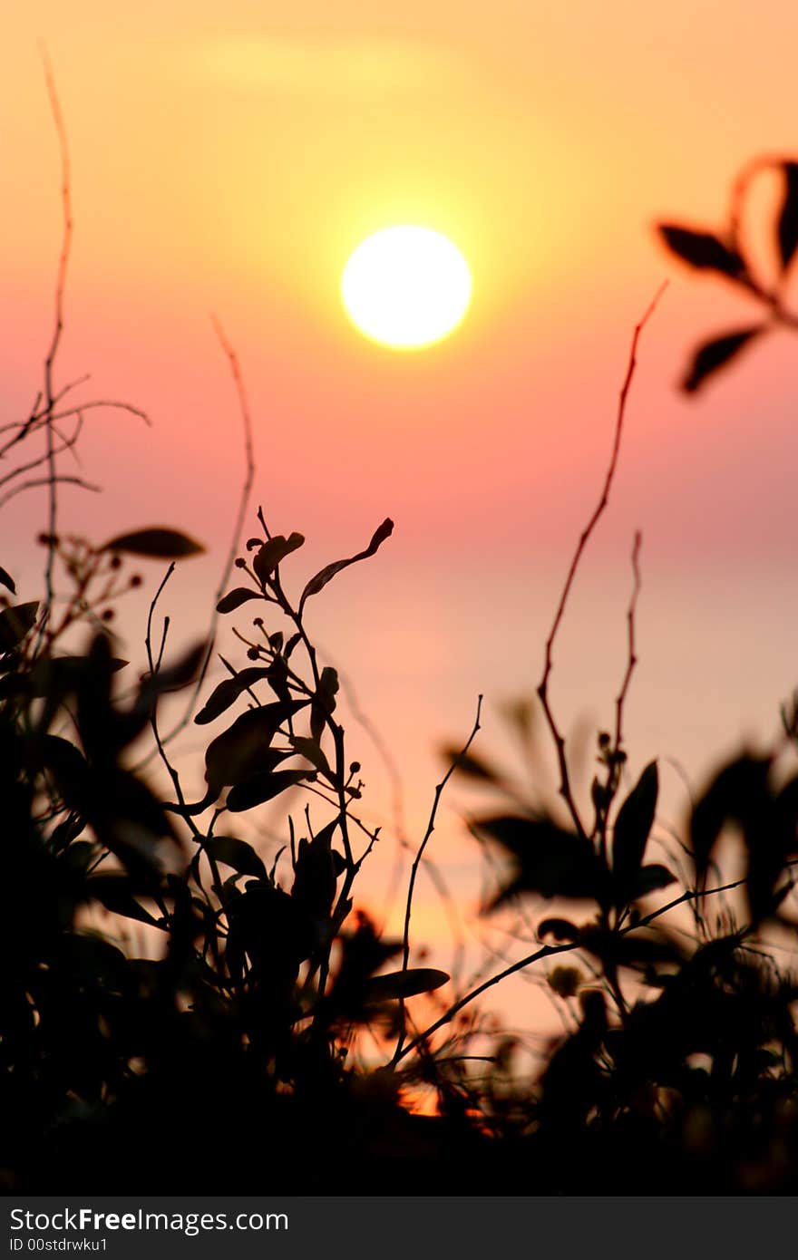 On portugal by the sunset on the beach