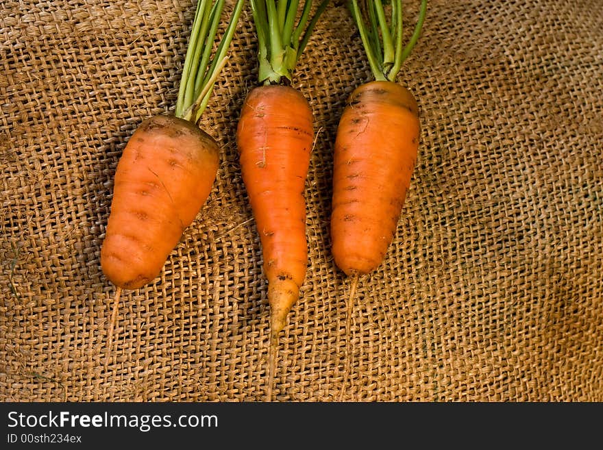 Vegetable theme: three carrots on the sacking