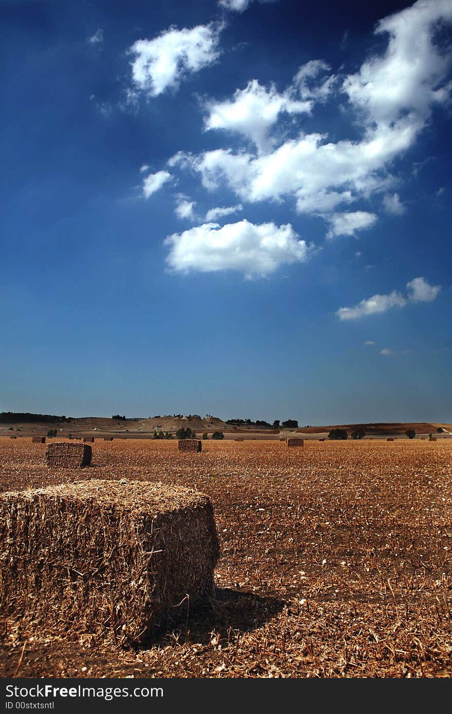 Straw bales on farmland with blue cloudy sky