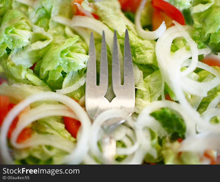 Close up images of a Green fresh healthy salad