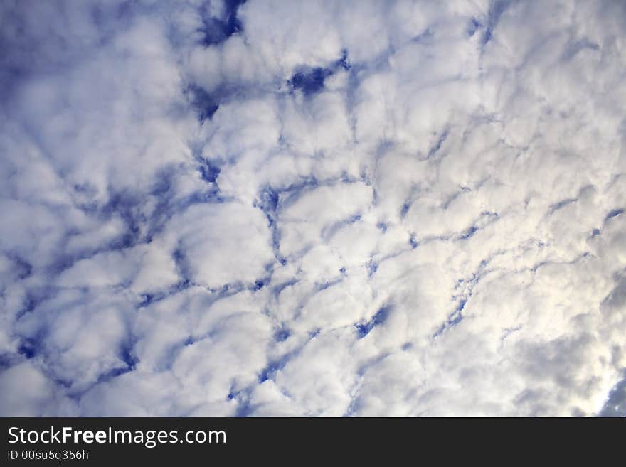 Sky shot full of cotton like shaped clouds. Sky shot full of cotton like shaped clouds