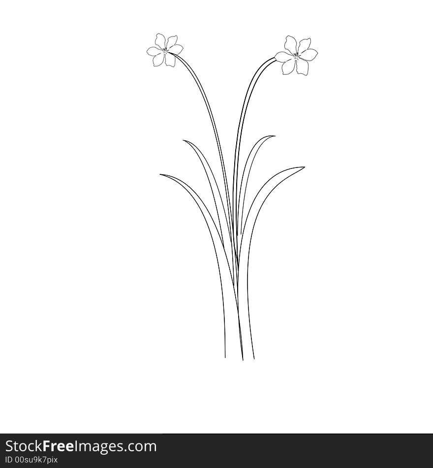 Illustration of tall flowers and leaves