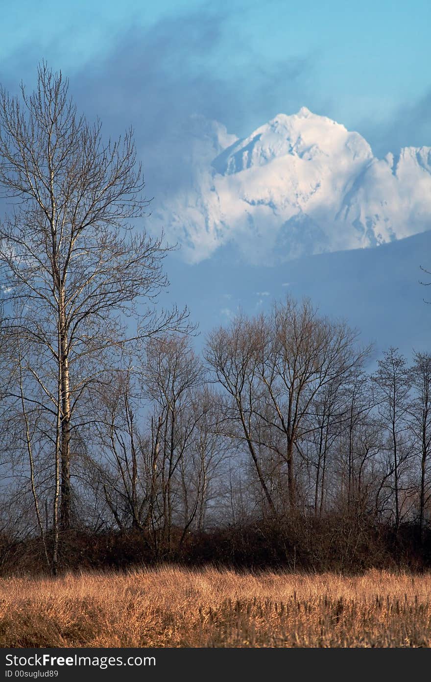 The Cascade Mountains in winter as seen from the Bob Heirman Wildlife Preserve in Snohomish, WA. The Cascade Mountains in winter as seen from the Bob Heirman Wildlife Preserve in Snohomish, WA.