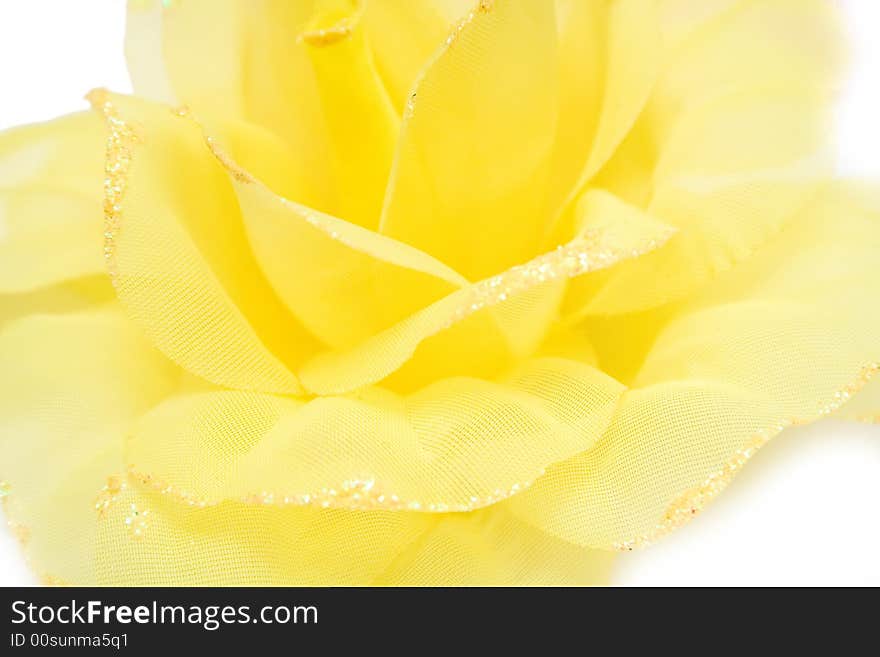 Yellow flower on isolated background