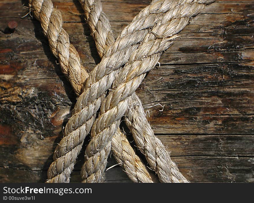 Wooden fence and rope on sheep