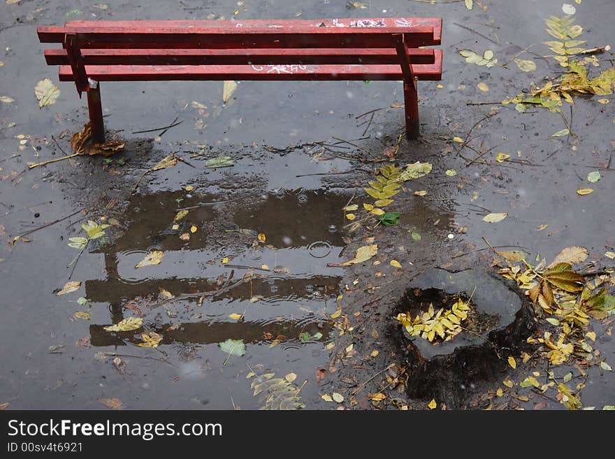 Autumnal bench in the rain. Autumnal bench in the rain.