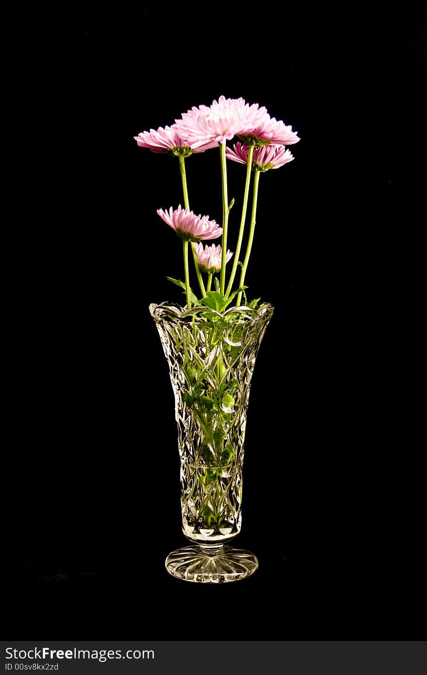 Pink flowers in crystal vase against a black velvet background.