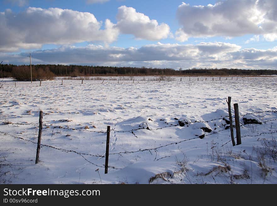 Trees and fields along rural road in the winter. Trees and fields along rural road in the winter