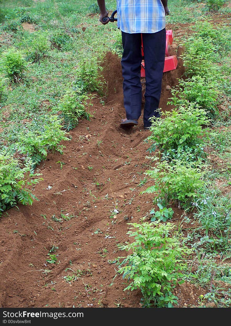 It's used to indian agricultural lands, mostly used to grass cutting purpose. It's used to indian agricultural lands, mostly used to grass cutting purpose