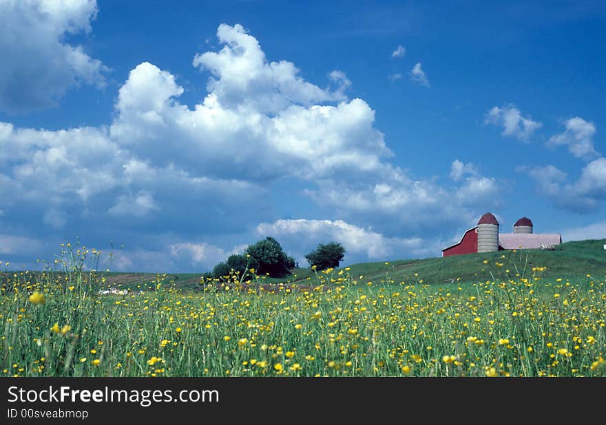 A farm sits ontop of a hill on a beautiful blue sky day. A farm sits ontop of a hill on a beautiful blue sky day