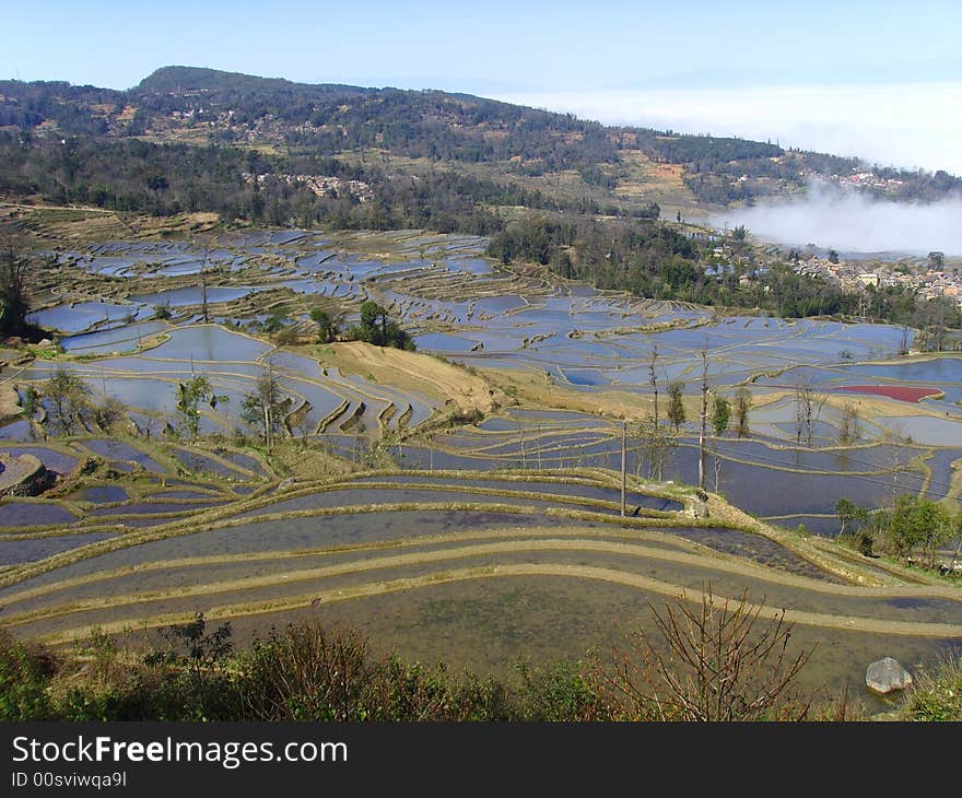 Yuanyan Paddyã€€Field