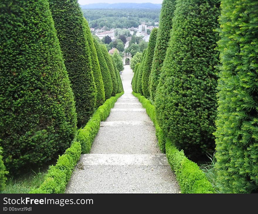 The garden, stairs with trees around. The garden, stairs with trees around