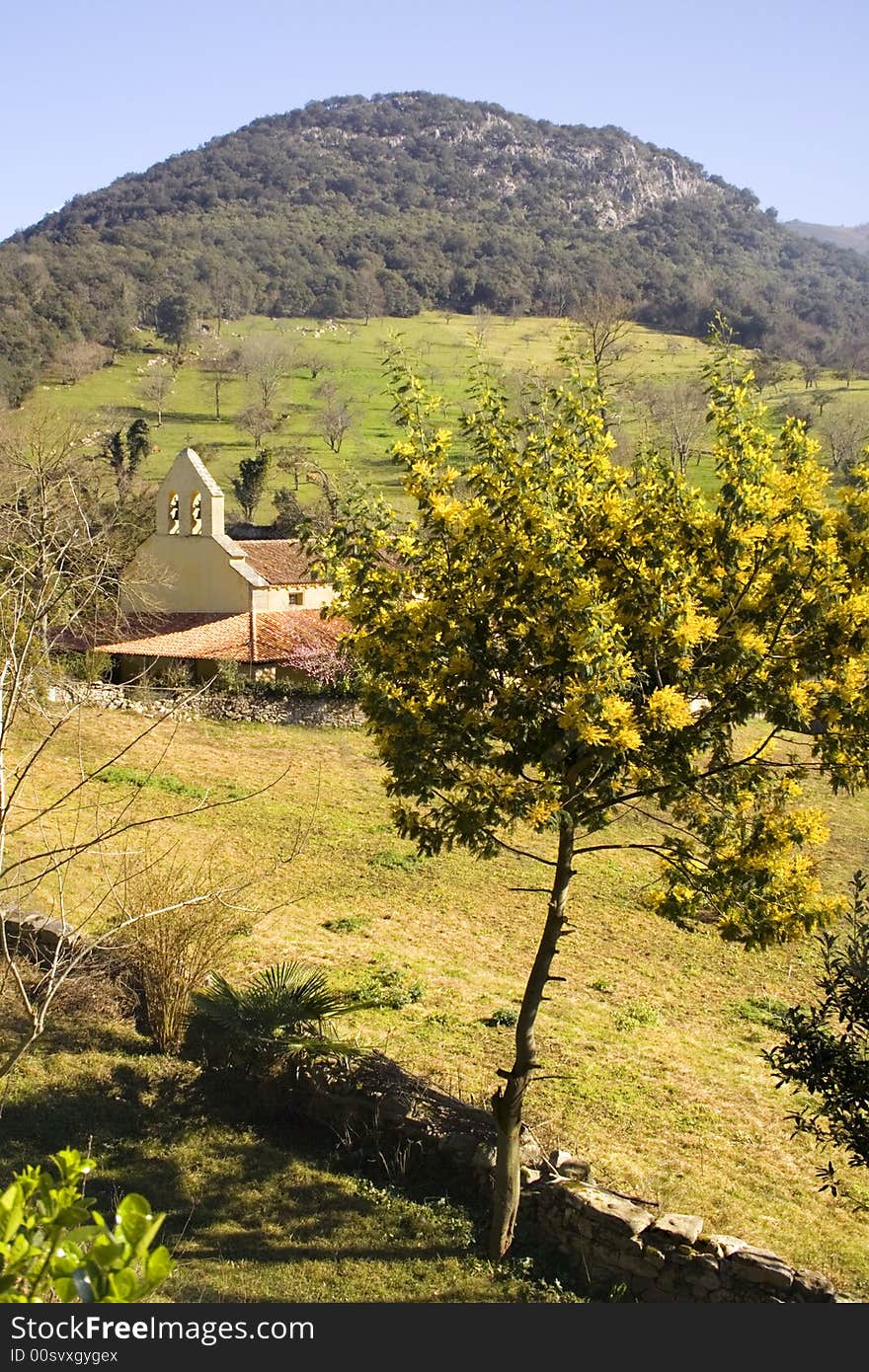 Church and fields