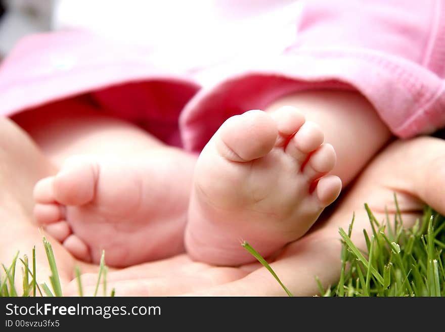 Little child feet in mother's hands in grass. Little child feet in mother's hands in grass