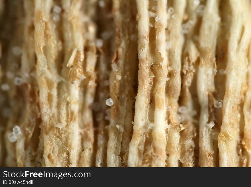 Close up of a wheat cracker