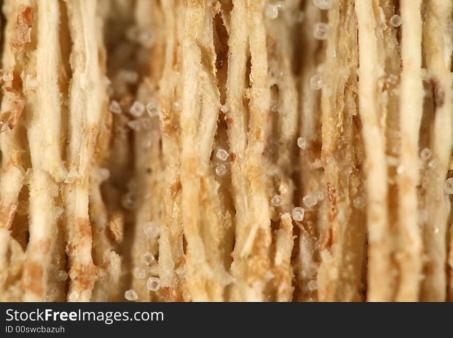 Close up of a wheat cracker