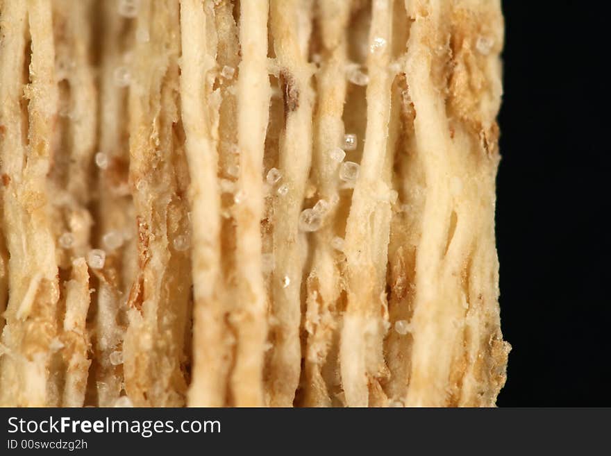 Close up of a wheat cracker