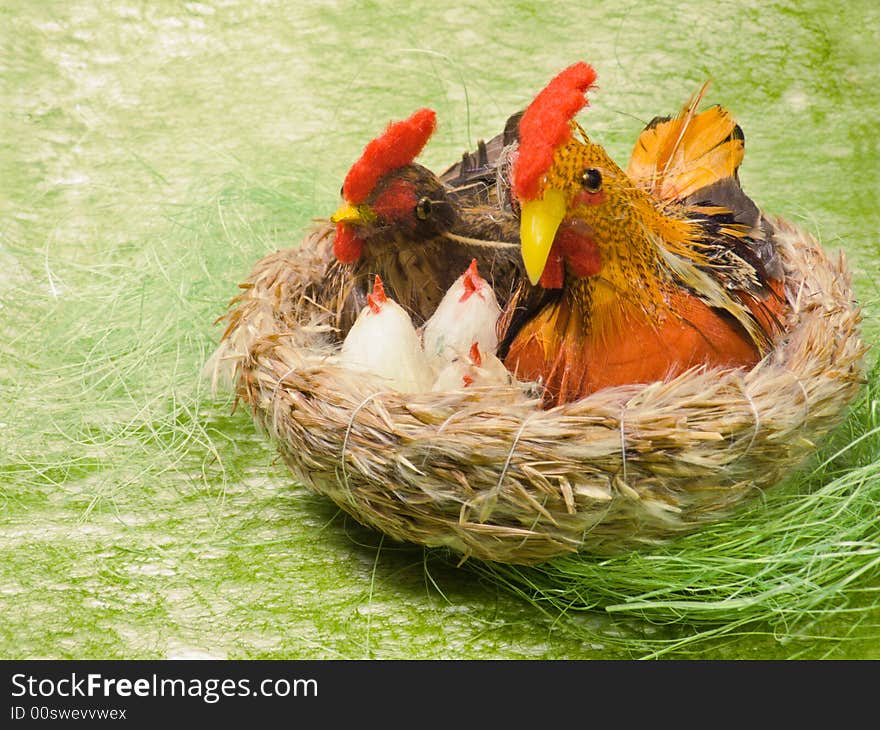 Cock and hen sitting in nest from nestling on green background. Cock and hen sitting in nest from nestling on green background.