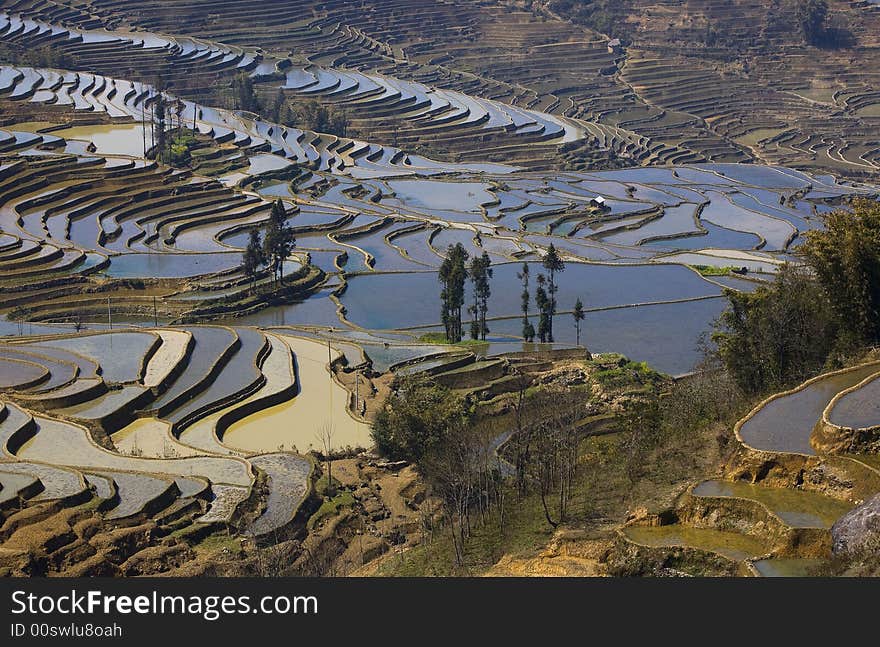 The closeup of terrace was taken from Yuanyang of Yunnan. The closeup of terrace was taken from Yuanyang of Yunnan