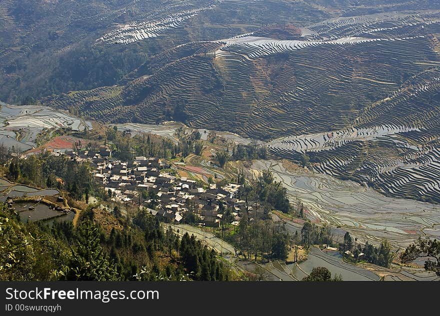 Yuanyang terrace is a beauty spot of Yunnan in China. Yuanyang terrace is a beauty spot of Yunnan in China