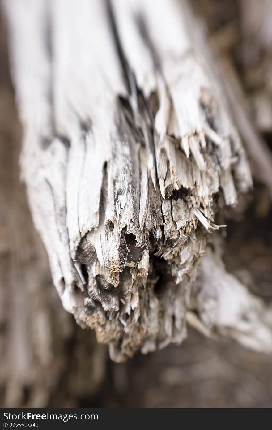 Vertical image of splintered wood. Vertical image of splintered wood