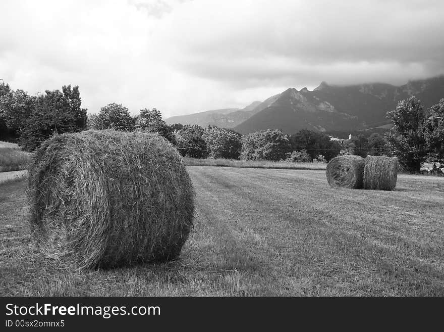 Haystacks under an overcast sky