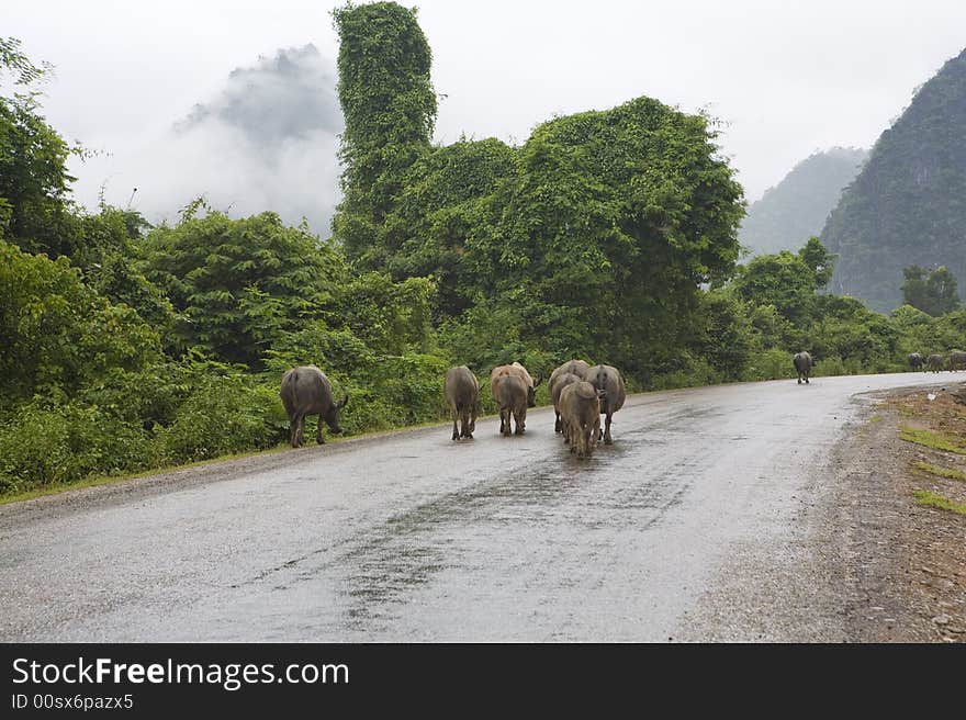 Traffic congestion, Laos