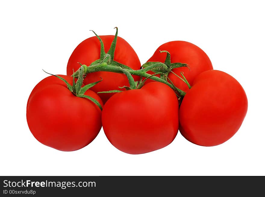 Fresh Tomatoes