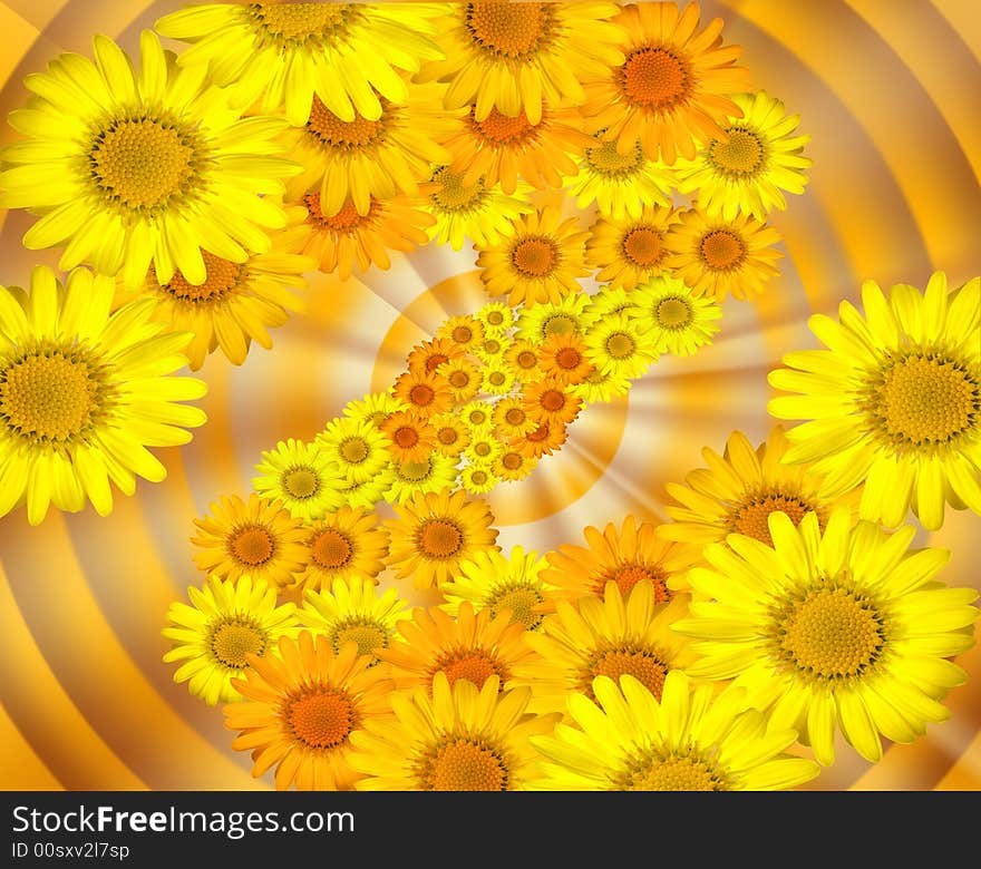 Background from yellow wild flowers