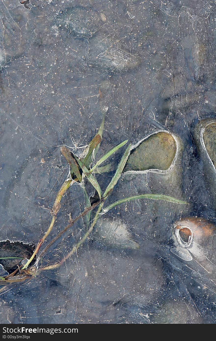 Stones and grass in ice