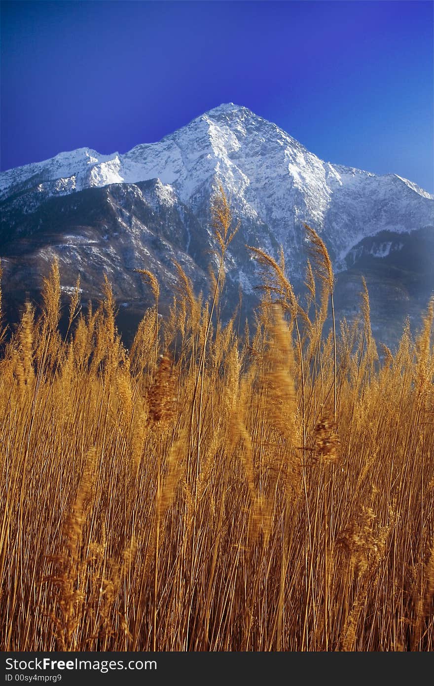 Lake with snow-capped mountains in the background. Lake with snow-capped mountains in the background