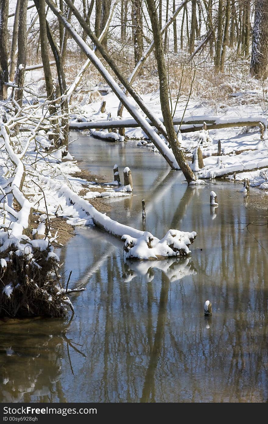 Snowy Mountain Brook